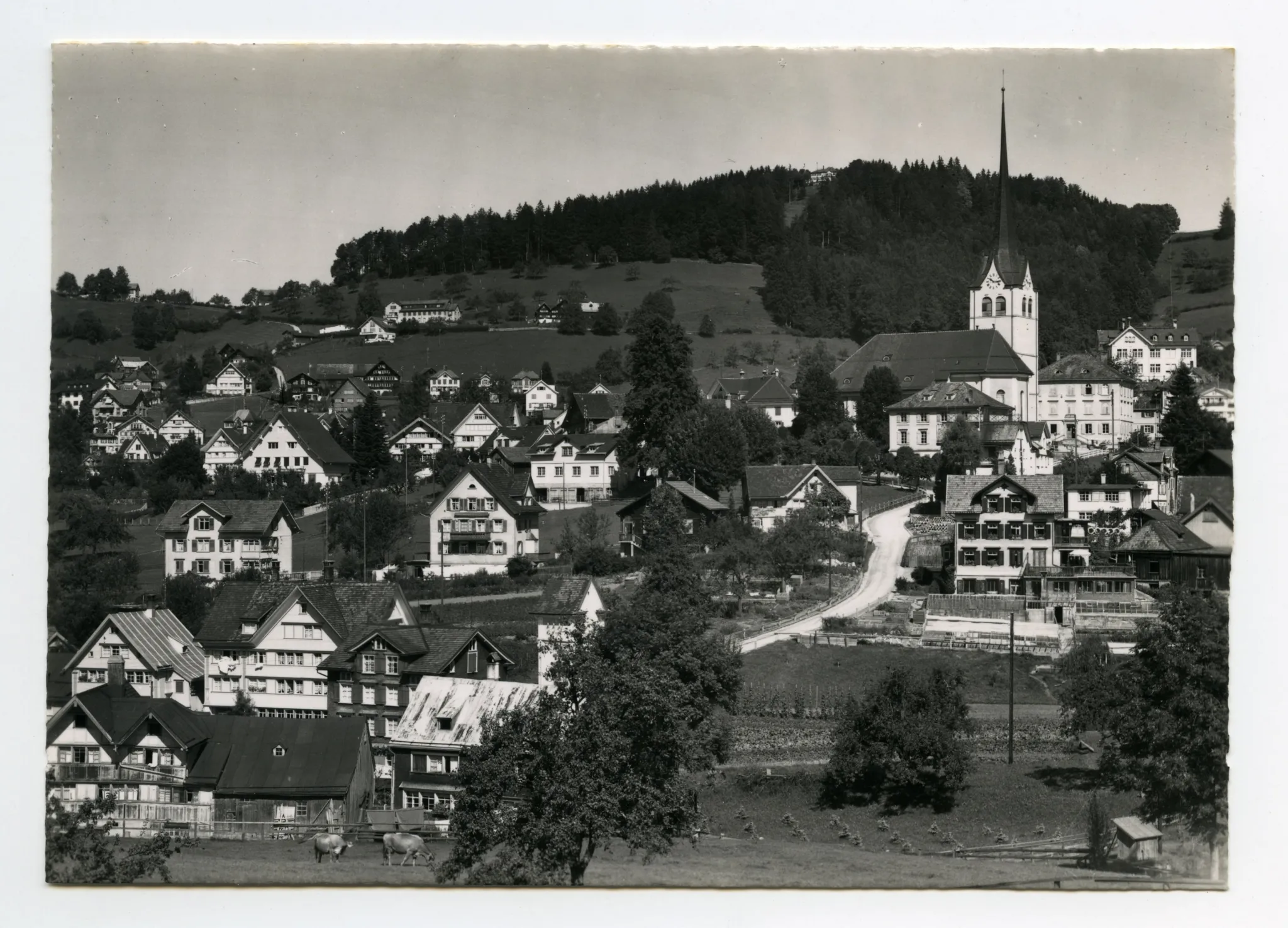 mit Bächli, Fernblick. Blick zur Frölichsegg, Frohen Aussicht