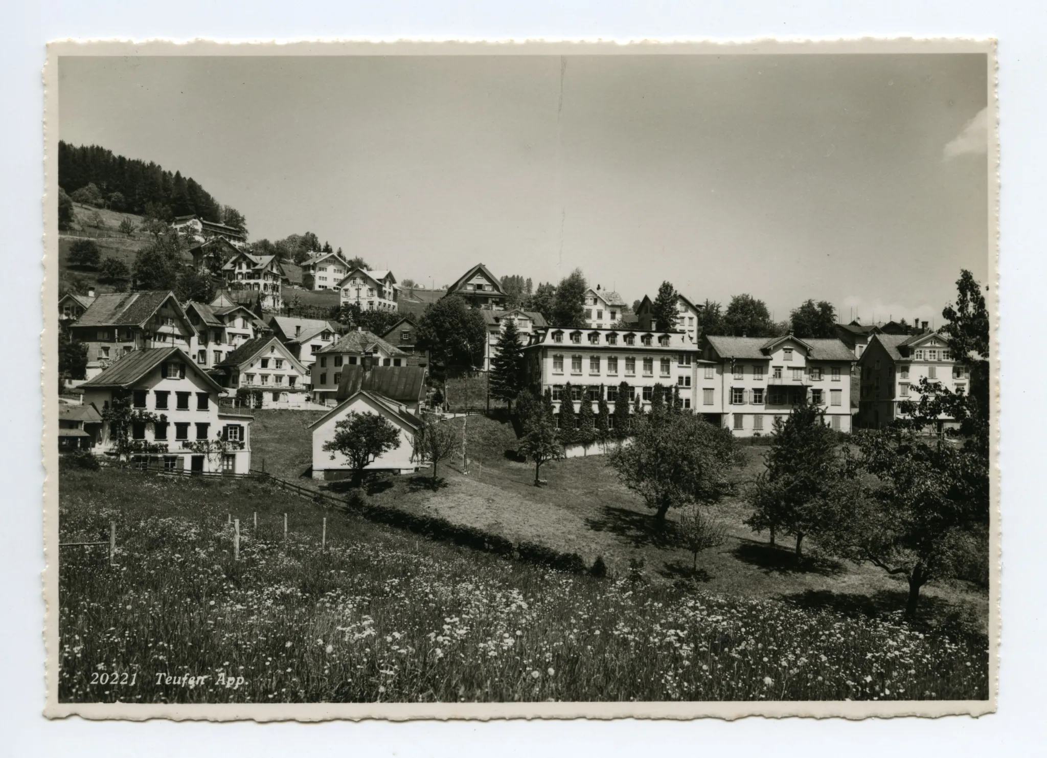 Blumenwiese, Blick zum Fernblick