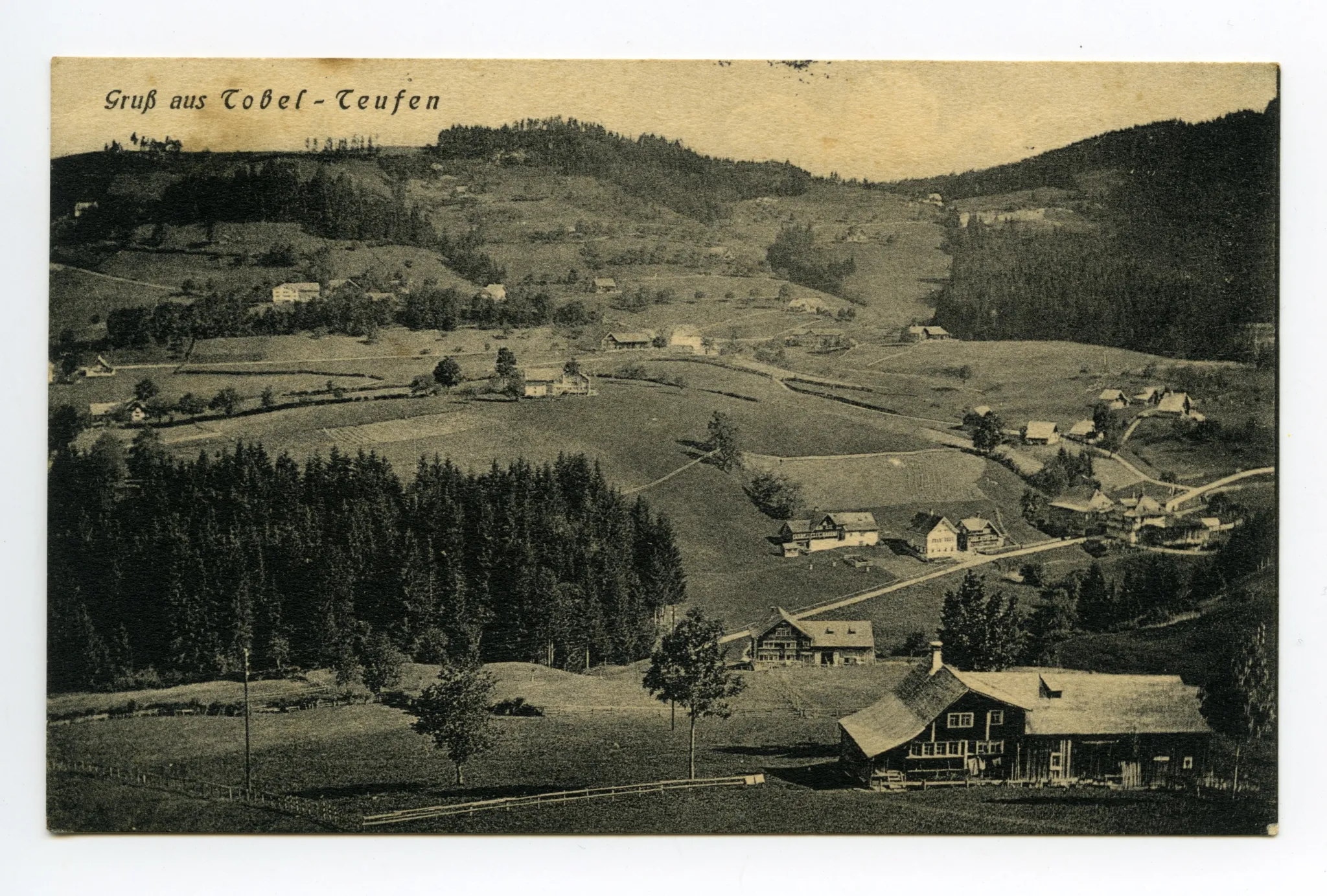 mit „Pfauen“