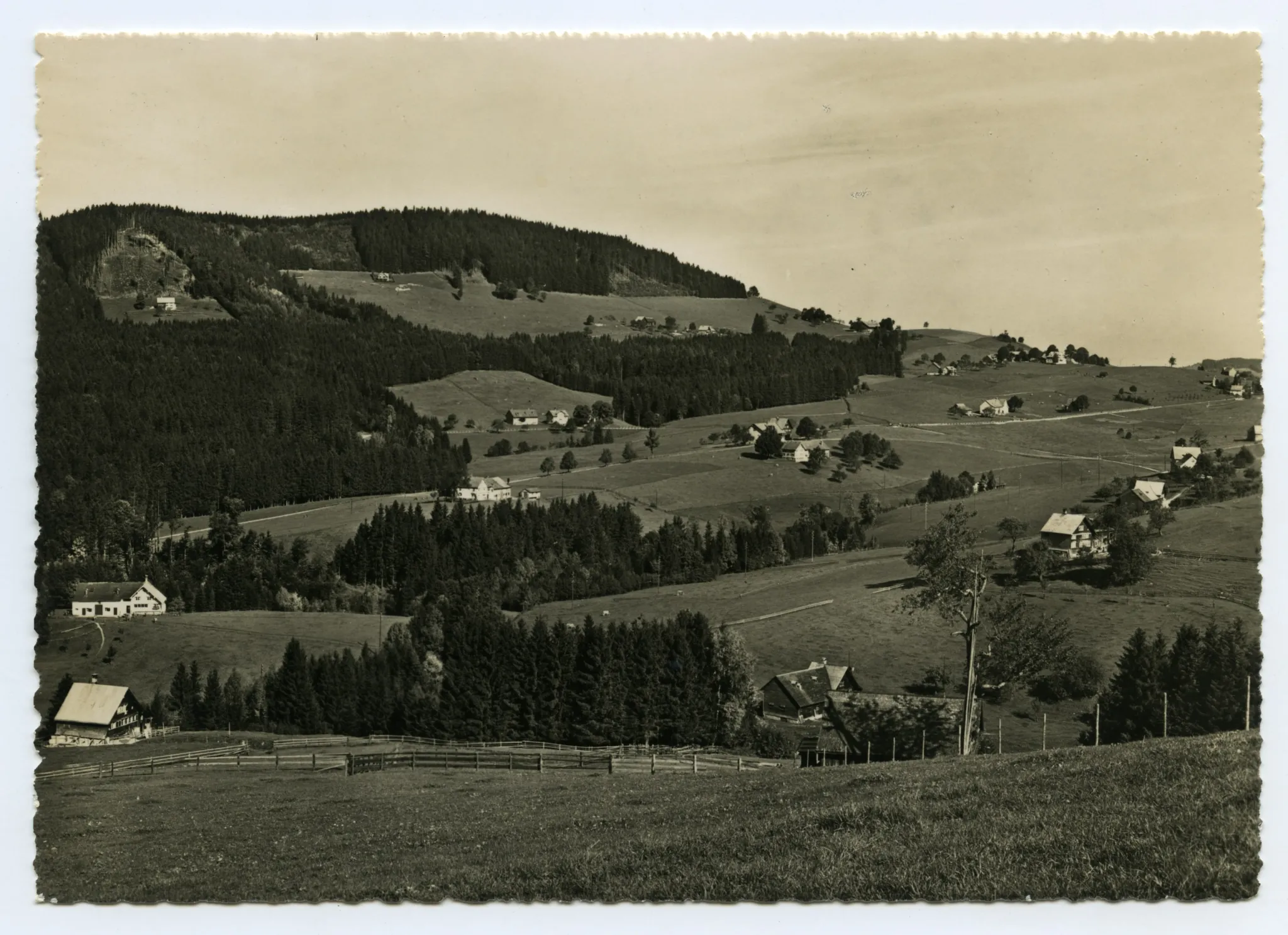 Blick zu den Eggen (Horst)
