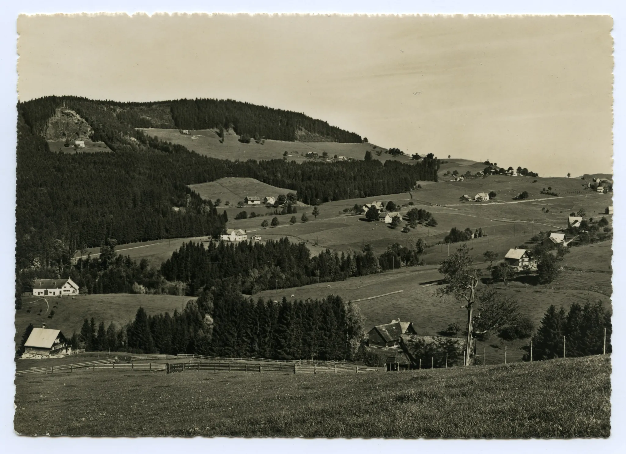 Blick zu den Eggen (Horst)