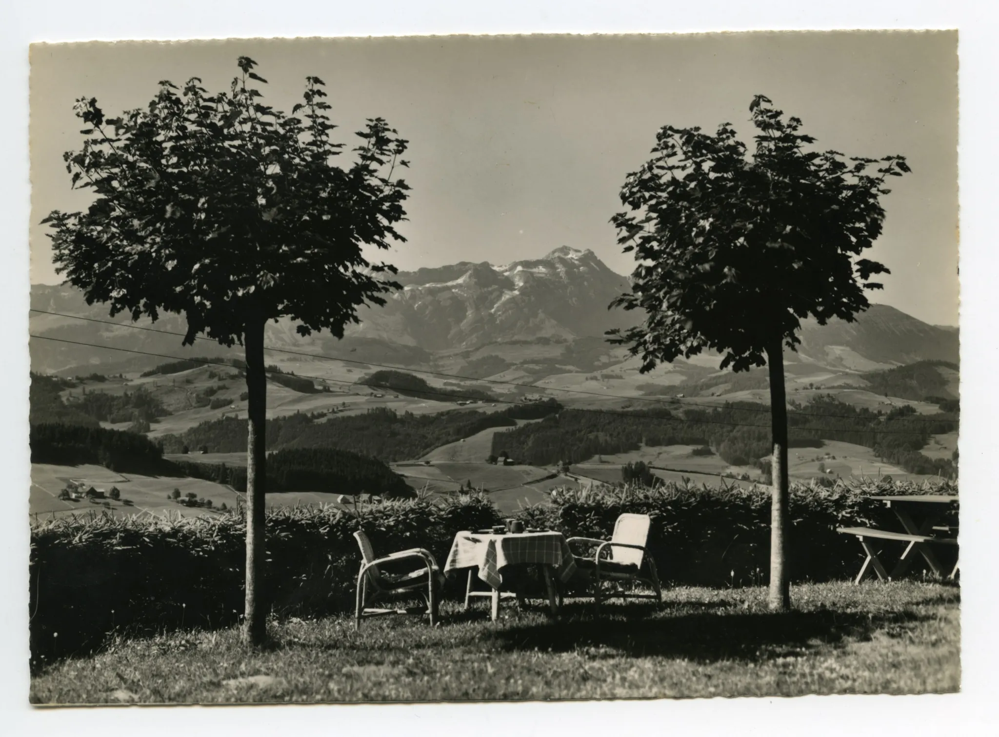 Blick zum Alpstein. Gartentisch und Säntis umrahmt von 2 jungen Laubbäumen