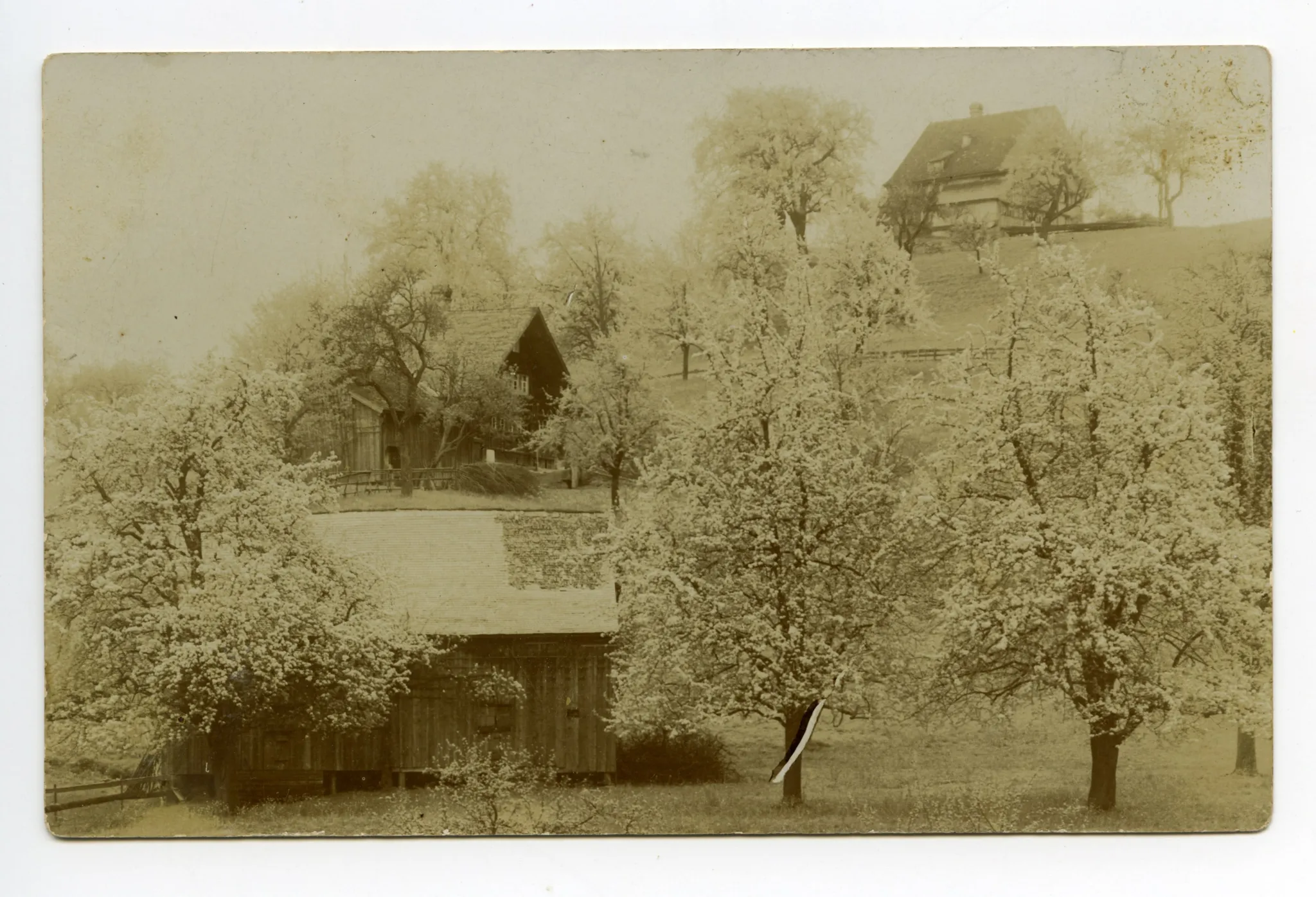 ländliche Szenerie mit Bauernhaus, Schopf und blühenden Obstbäumen (handschr. Vermerk WH: „Au-Küche Niederteufen 1930“)