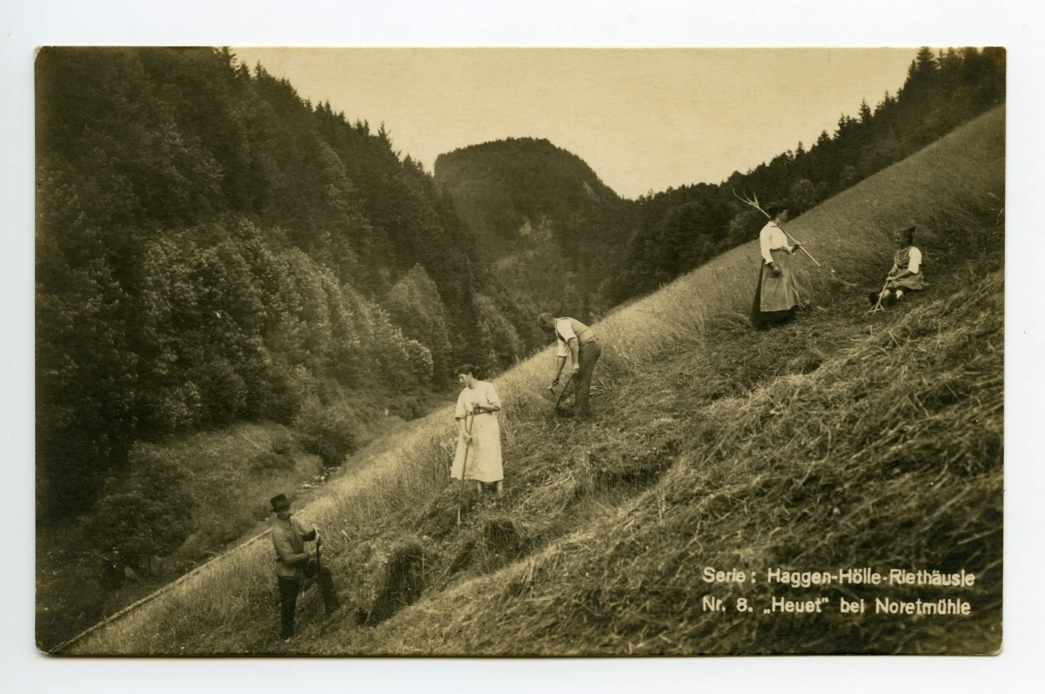 Ansicht von Personen bei der Heuernte