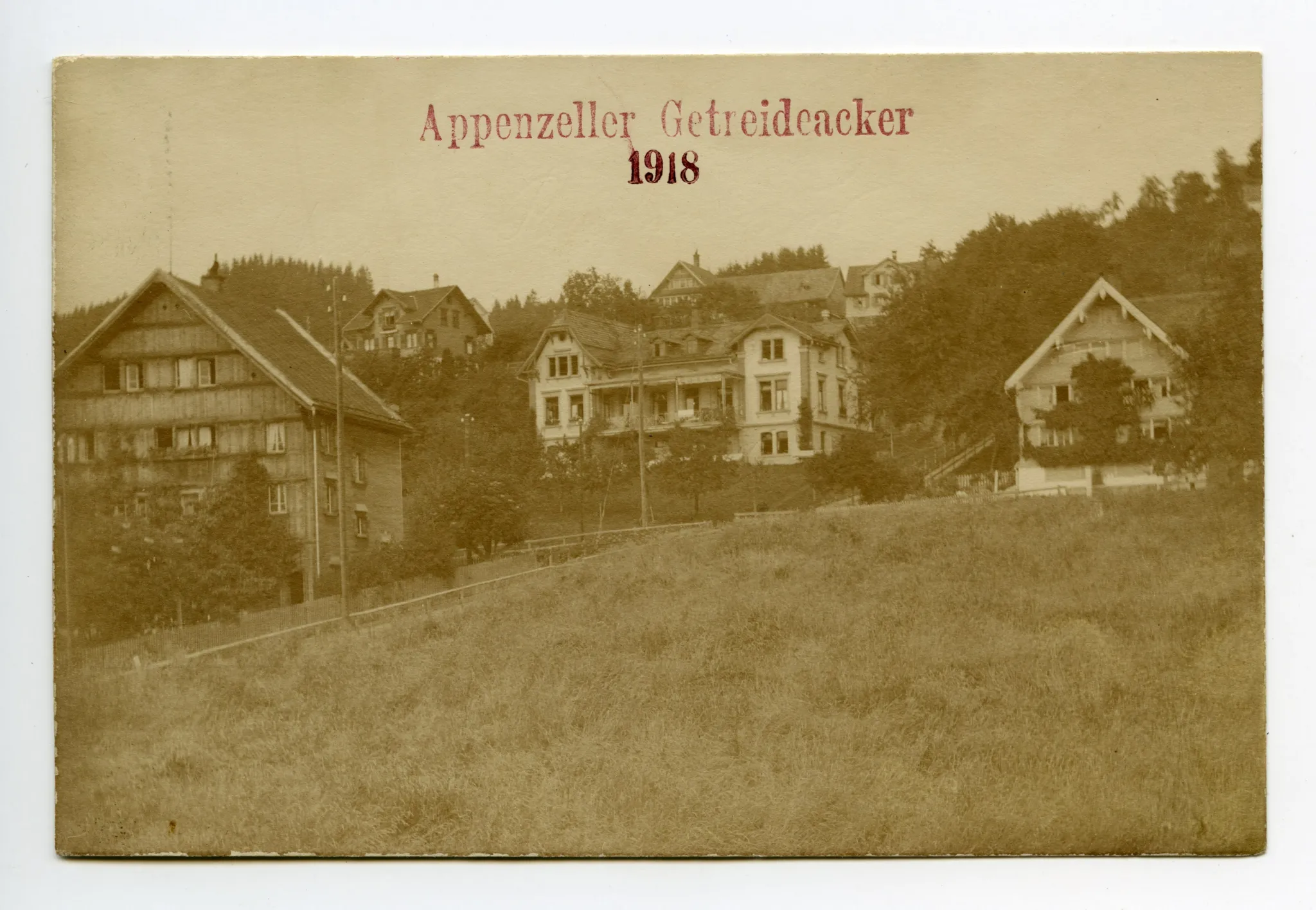 Ansicht eines Getreideackers vor dem alten Krankenhaus