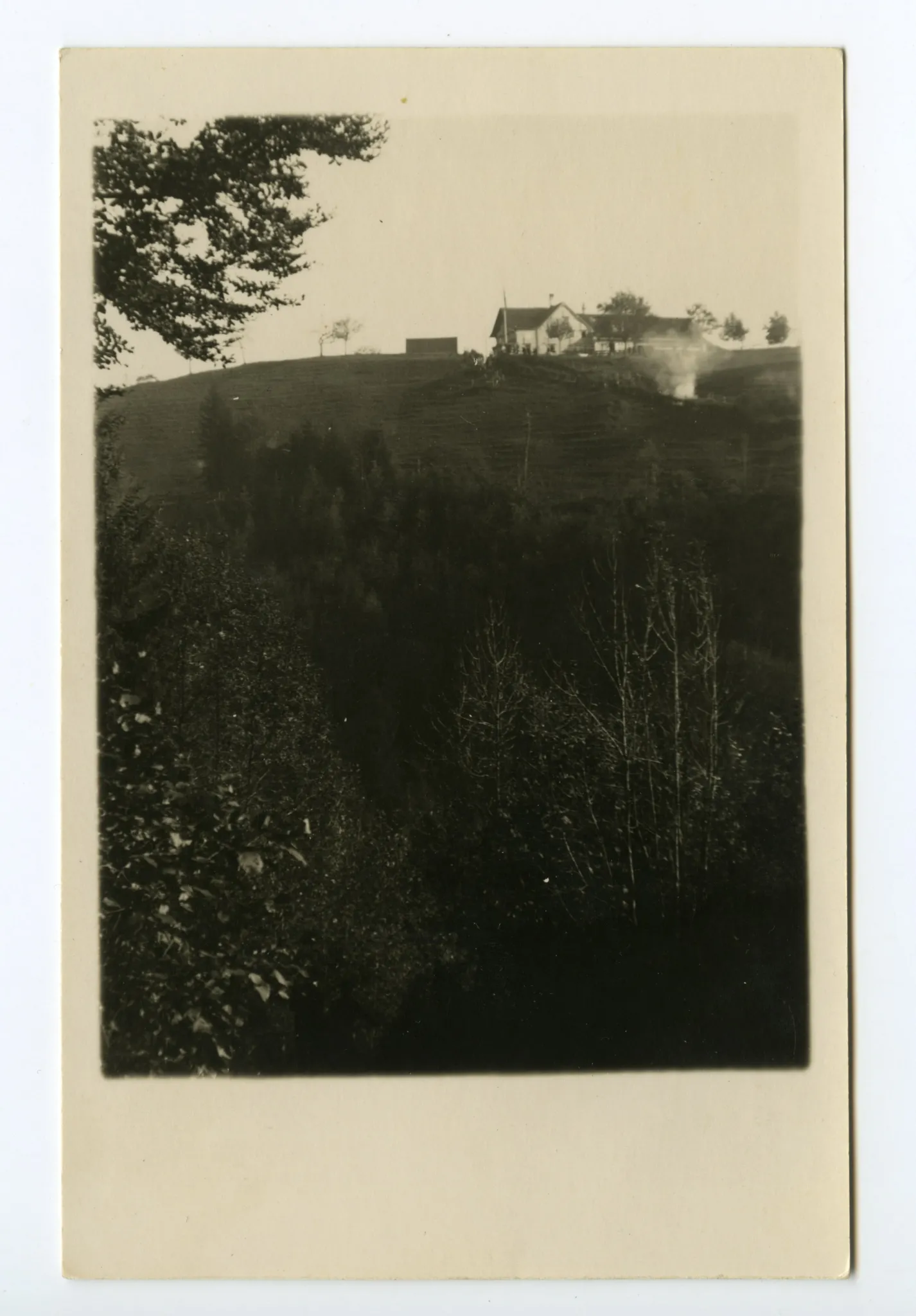 Ansicht von Norden mit Wiese und Wald im Vordergrund