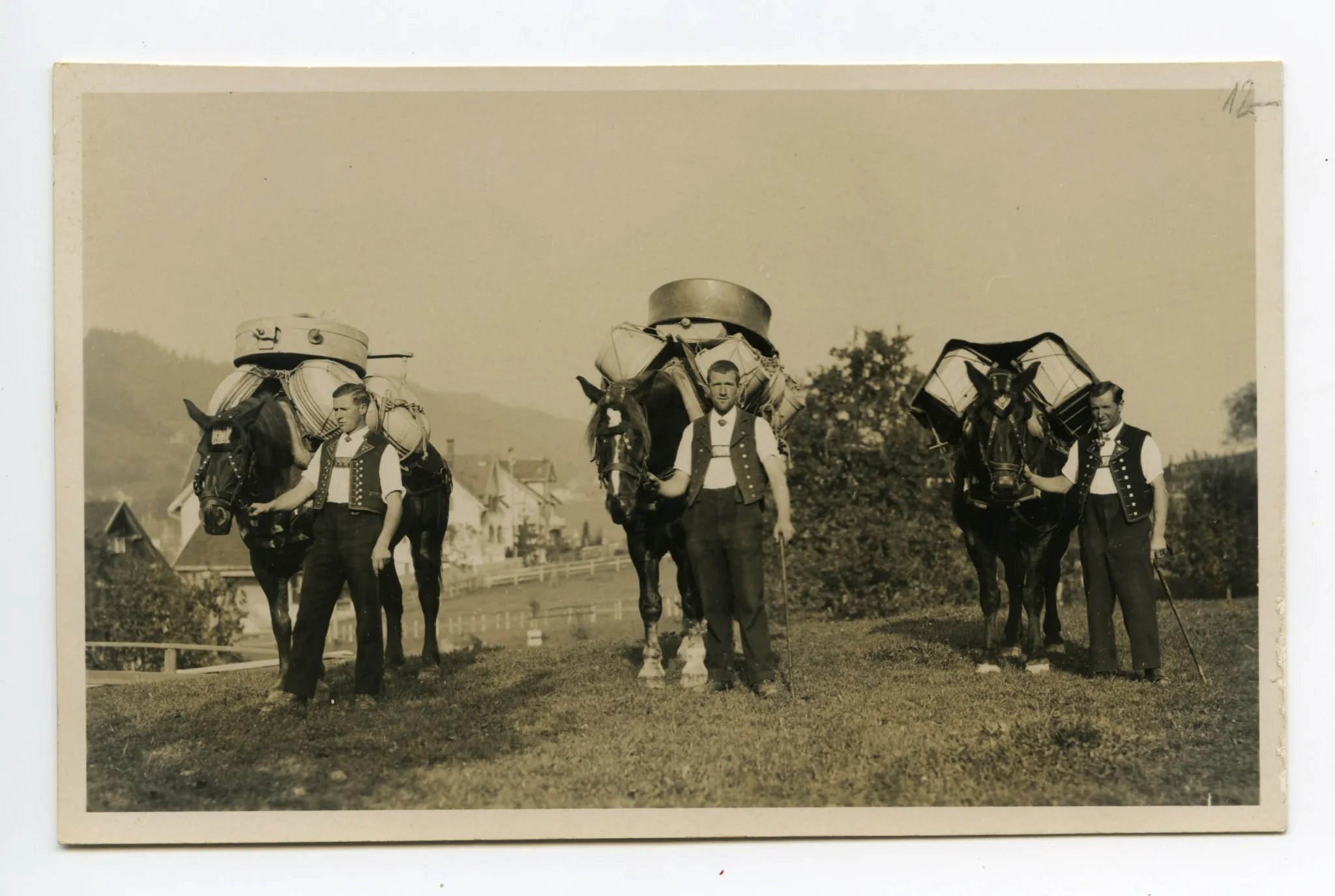 drei mit Sennengeschirr beladene Pferde, stehend auf der Wiese, geführt von drei Sennen