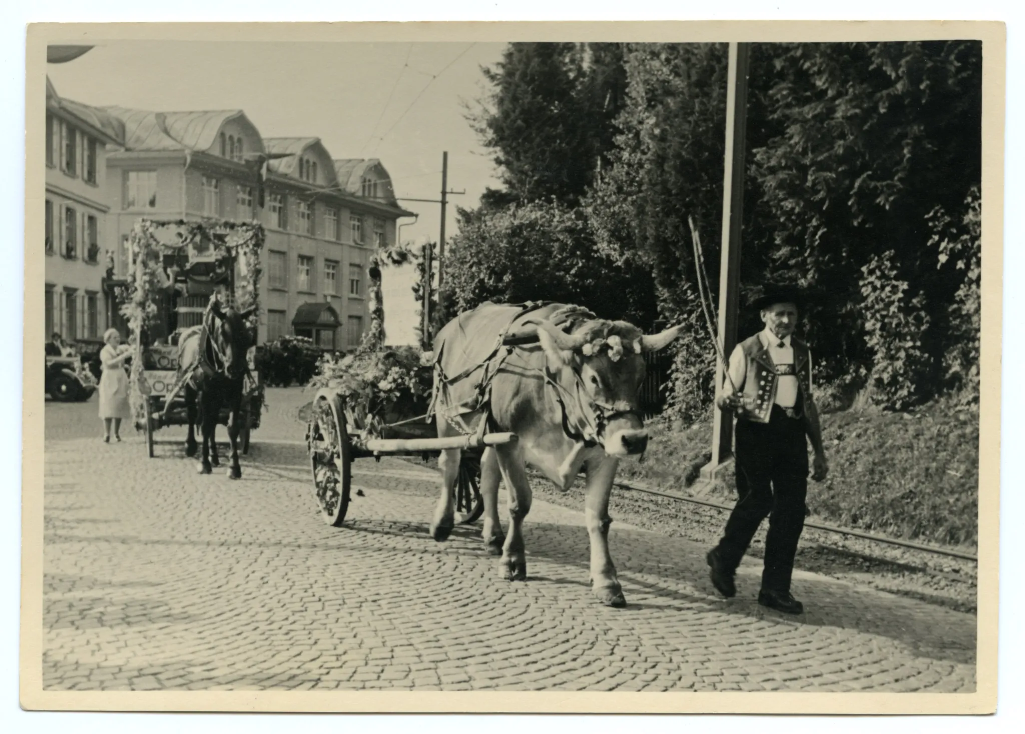 Fuhrwerk einer Apfelmosterei, vorauslaufend Ochseneinergespann