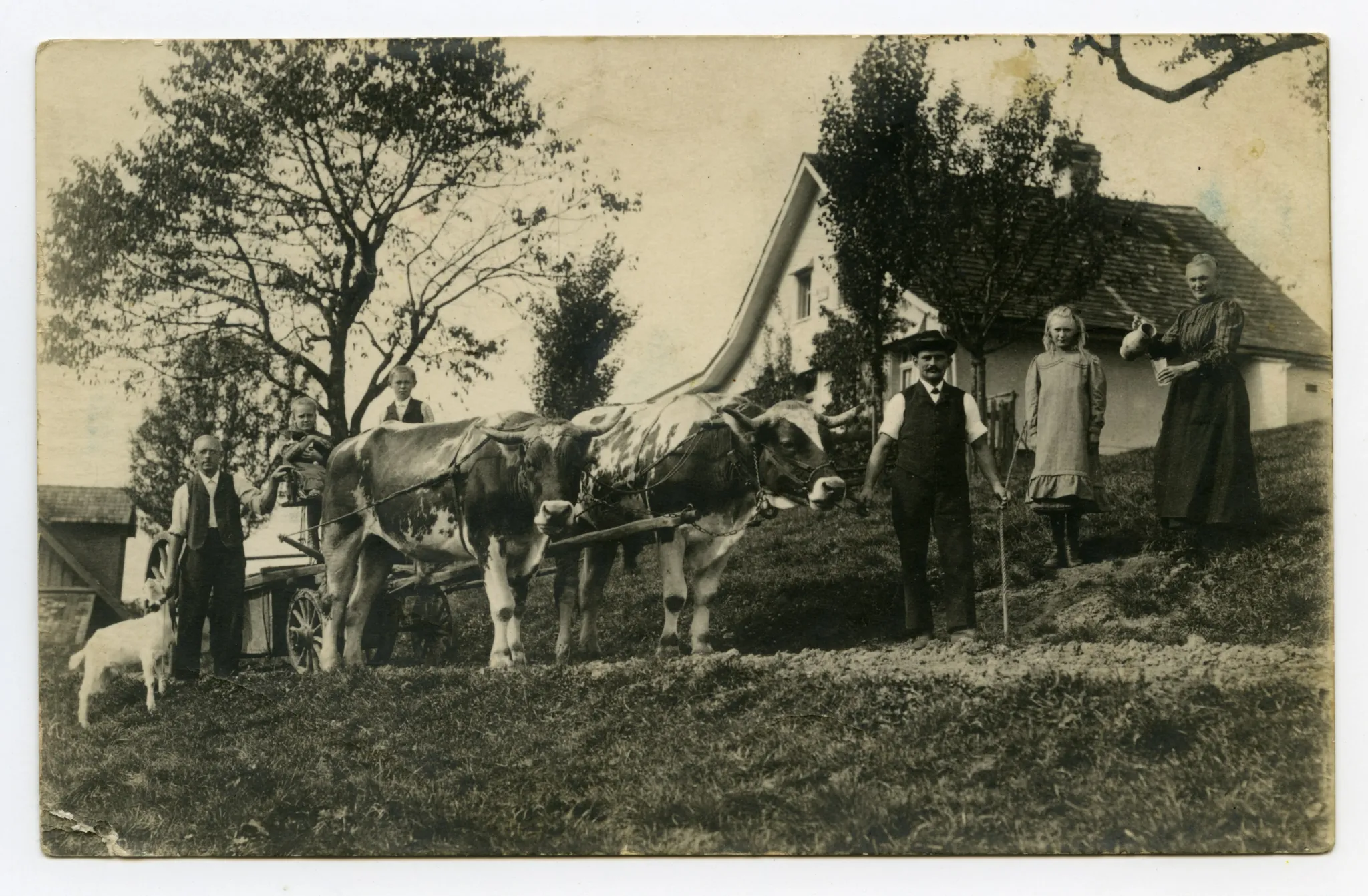 Familie mit Ochsengespann vor dem Haus