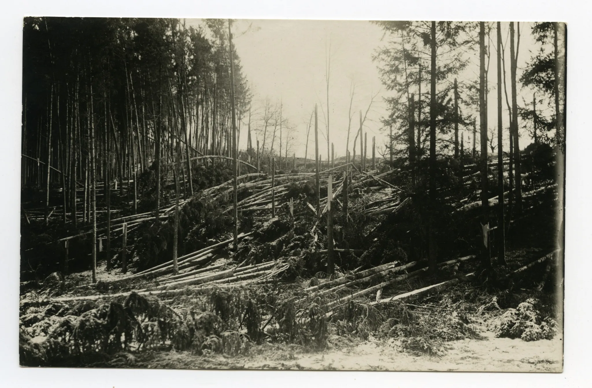 Winter, Unwetterschäden im Wald