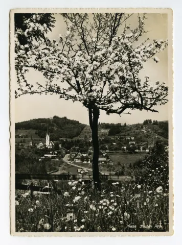 Vordergrund: blühender Obstbaum (Leimensteig?), Sammelbüel. Mit beiden Dorfkirchen, Krankenhaus, Bad Sonder. Blick zu Frölichsegg, Schäflisegg (vgl. Hc.16-15)