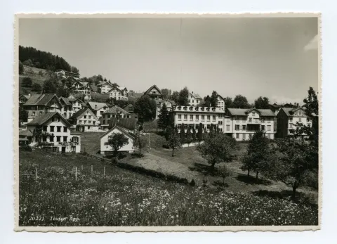Blumenwiese, Blick zum Fernblick