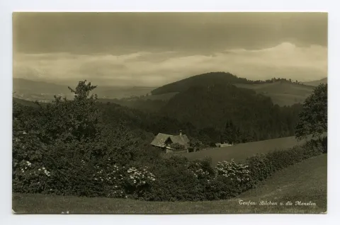 Blick zum Menzlen-Wald