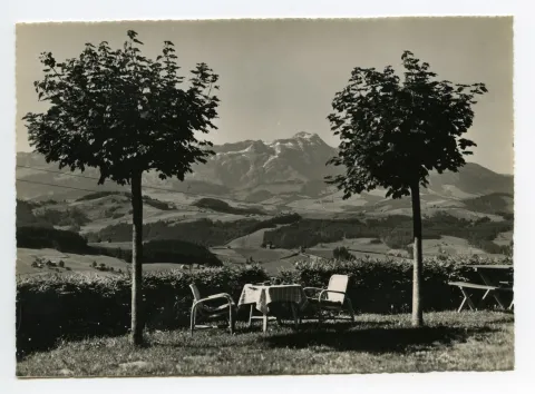 Blick zum Alpstein. Gartentisch und Säntis umrahmt von 2 jungen Laubbäumen