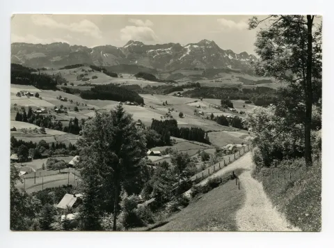 (siehe Ho.11-026 und -027, markante Baumgruppen (Bildmitte) zum Vergleich!)