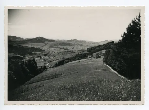 Blick westwärts, u.a. zur Hundwiler Höhe. Mit Alter Kath. Kirche, Zeughaus und Grubenmannkirche (klein)