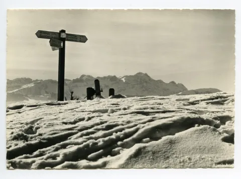 („Moosbänkli 1000 m.ü.M.“). Blick zum Alpstein