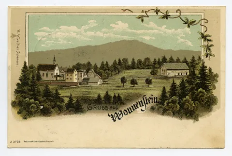 Blick zum Alpstein (stilisiert). Verziert mit Blätterranke, Tannen- und Laubwald