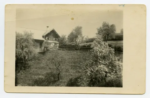 Privathaus, Zelg 869