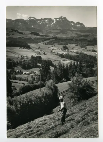 Ansicht von Bauer beim Zusammenrechen des Heus auf dem Feld, Feld unterhalb von Rest. Waldegg mit Blick auf Alpstein