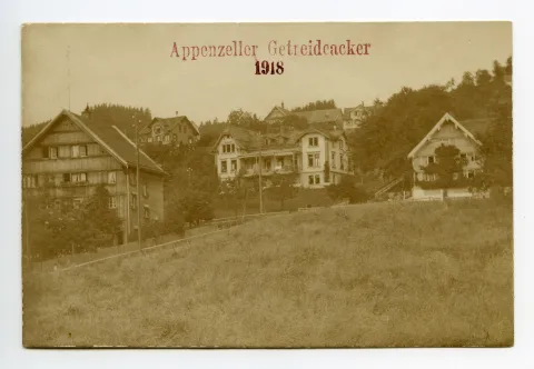 Ansicht eines Getreideackers vor dem alten Krankenhaus