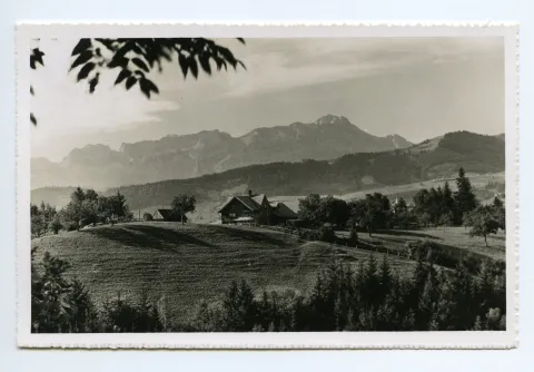 Ansicht aus Norden mit Blick auf Alpstein und Säntis (vgl. Hc.08-65, Karte identisch, Stempel von 1959)