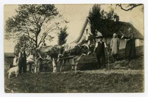 Familie mit Ochsengespann vor dem Haus